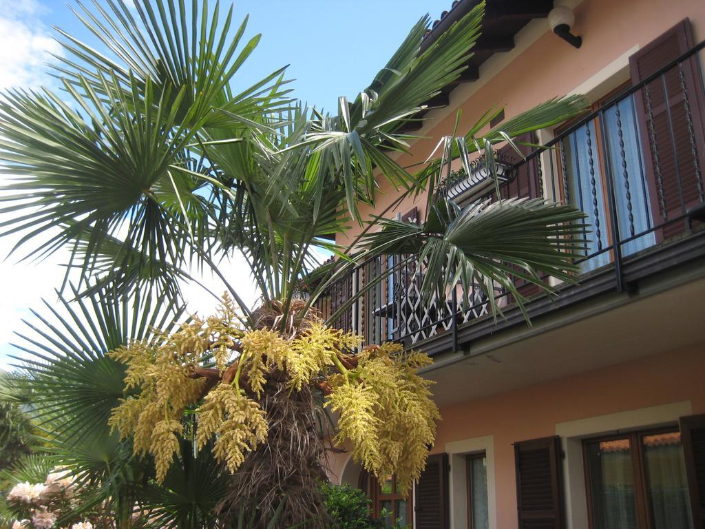 Villa Margherita Lake Maggiore ภายนอก รูปภาพ
