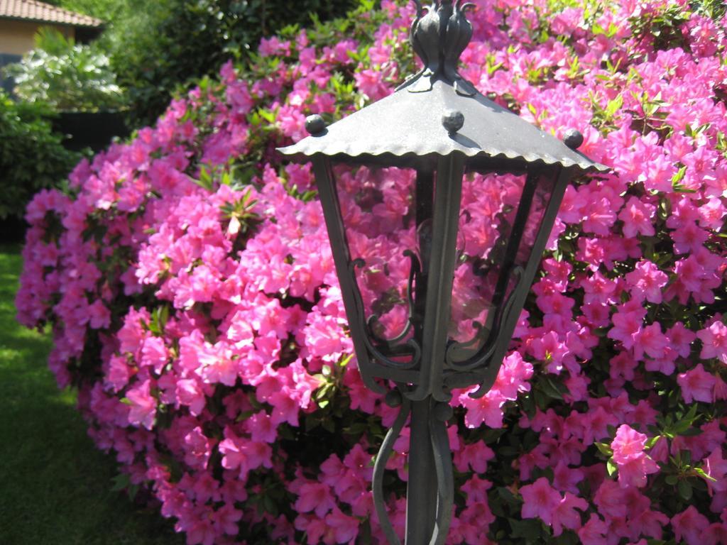 Villa Margherita Lake Maggiore ภายนอก รูปภาพ