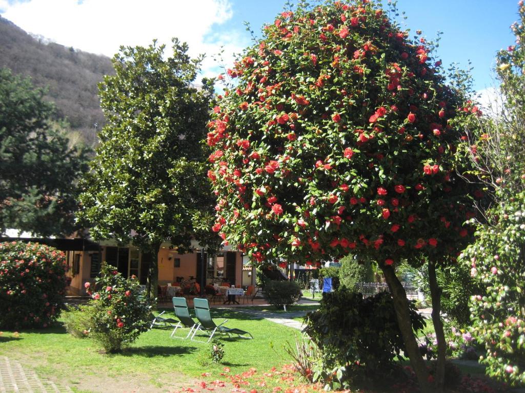 Villa Margherita Lake Maggiore ภายนอก รูปภาพ